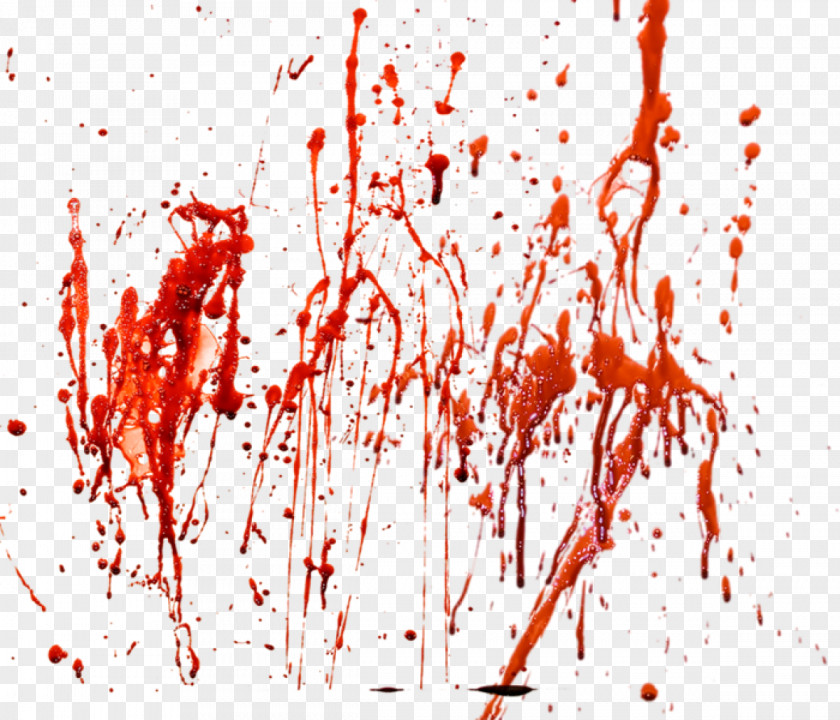Red Paint Blood Clip Art PNG