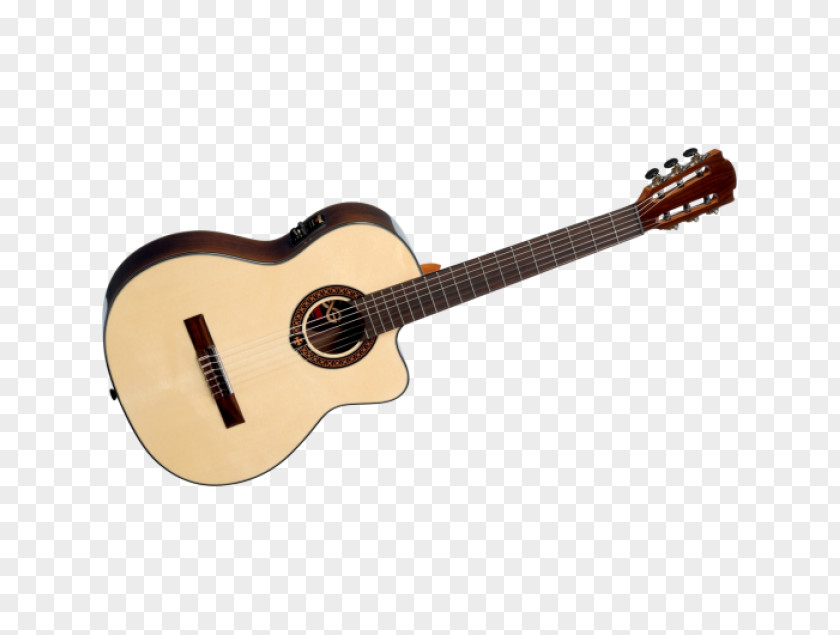 Acoustic Guitar Bass Tiple Classical PNG