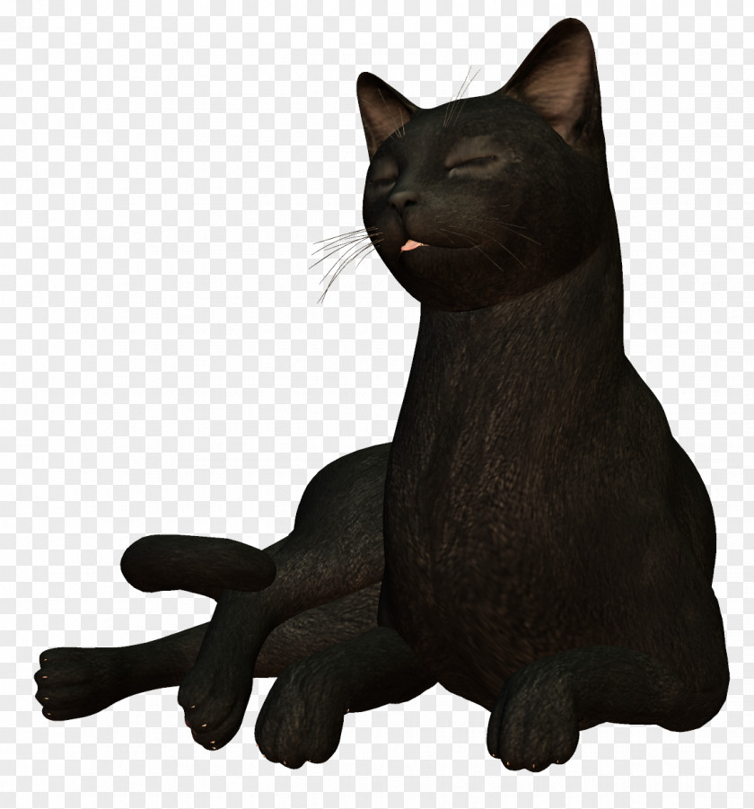 Black Cat PNG
