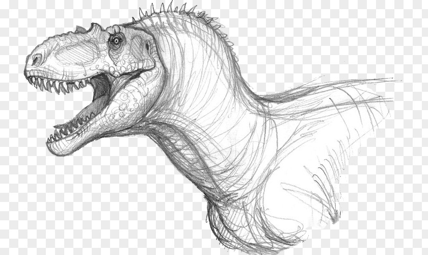 Dinosaur Tyrannosaurus Albertosaurus Allosaurus Velociraptor PNG