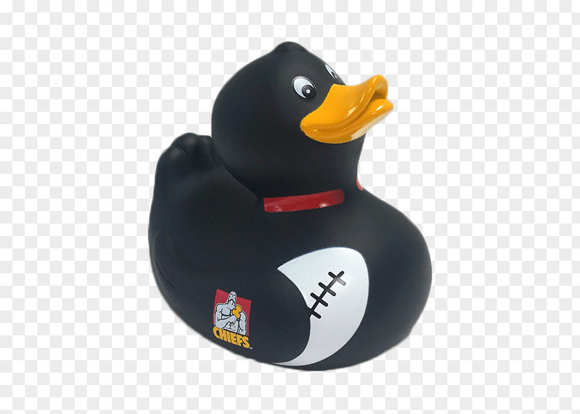 Duck New Zealand National Rugby Union Team Highlanders Crusaders Super PNG