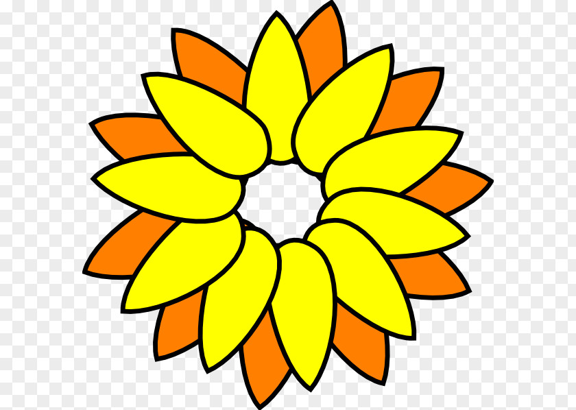 Hawaii Flower Drawing Common Sunflower Seed Clip Art PNG