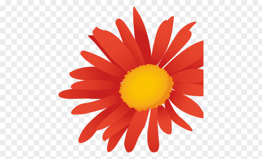 Margaritas Common Daisy Margarita Drawing PNG