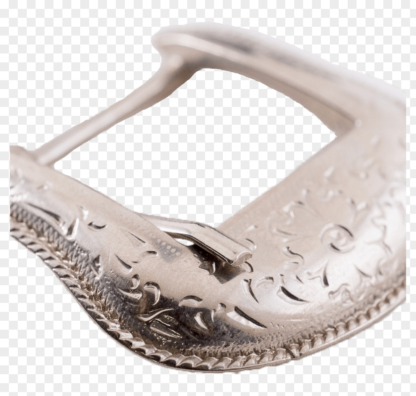 Silver Shoe Jewellery PNG
