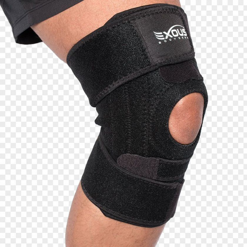 Torn Ligament In Knee Patellar Tendinitis Joint PNG