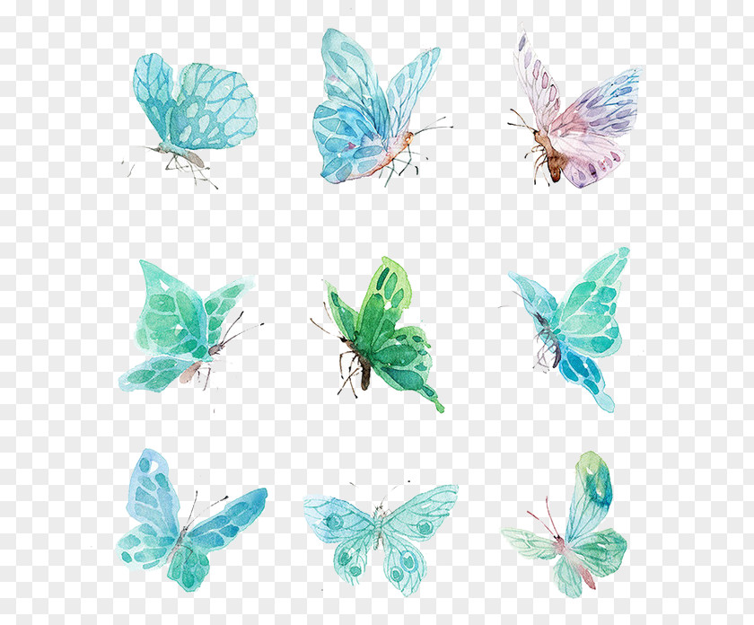 Blue Butterfly Download Uniform Resource Locator Icon PNG