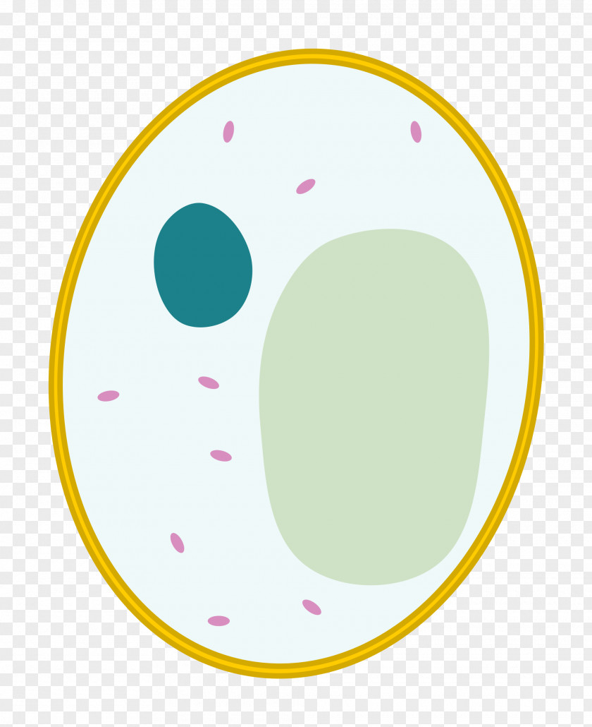 Cell Circle Oval Point PNG
