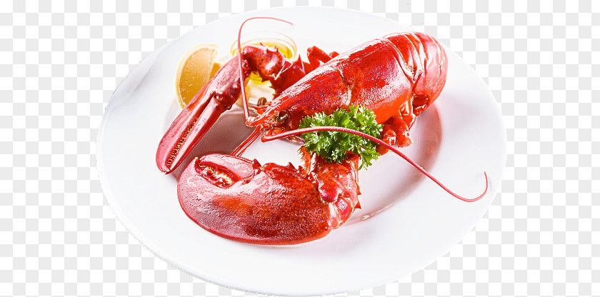 Garnish American Lobster Food Dish Cuisine Ingredient PNG