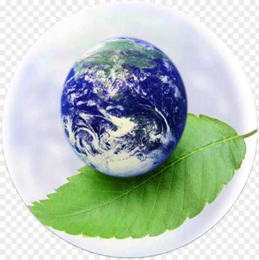 Natural Environment Earth Slogan Hindi PNG