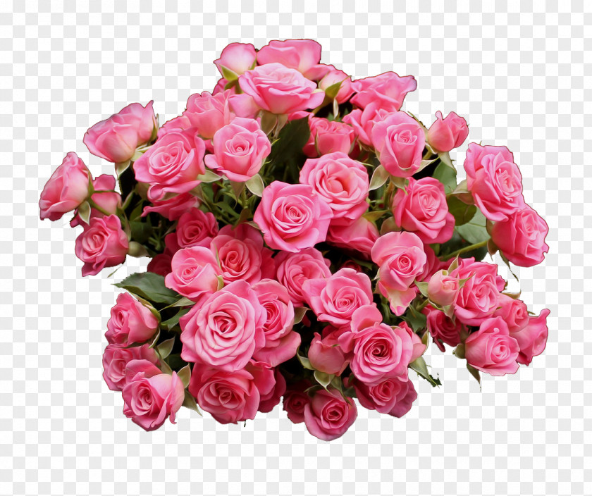 Pink Roses PNG