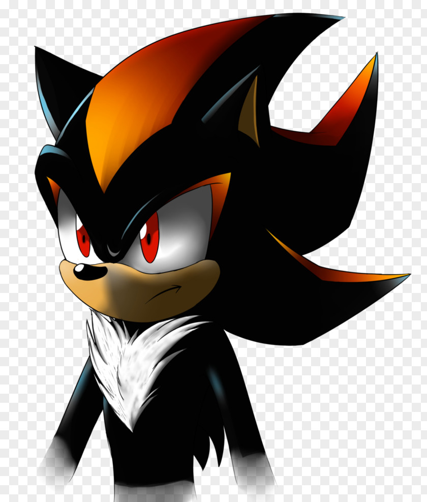 Sonic The Hedgehog Shadow Rouge Bat Heroes PNG
