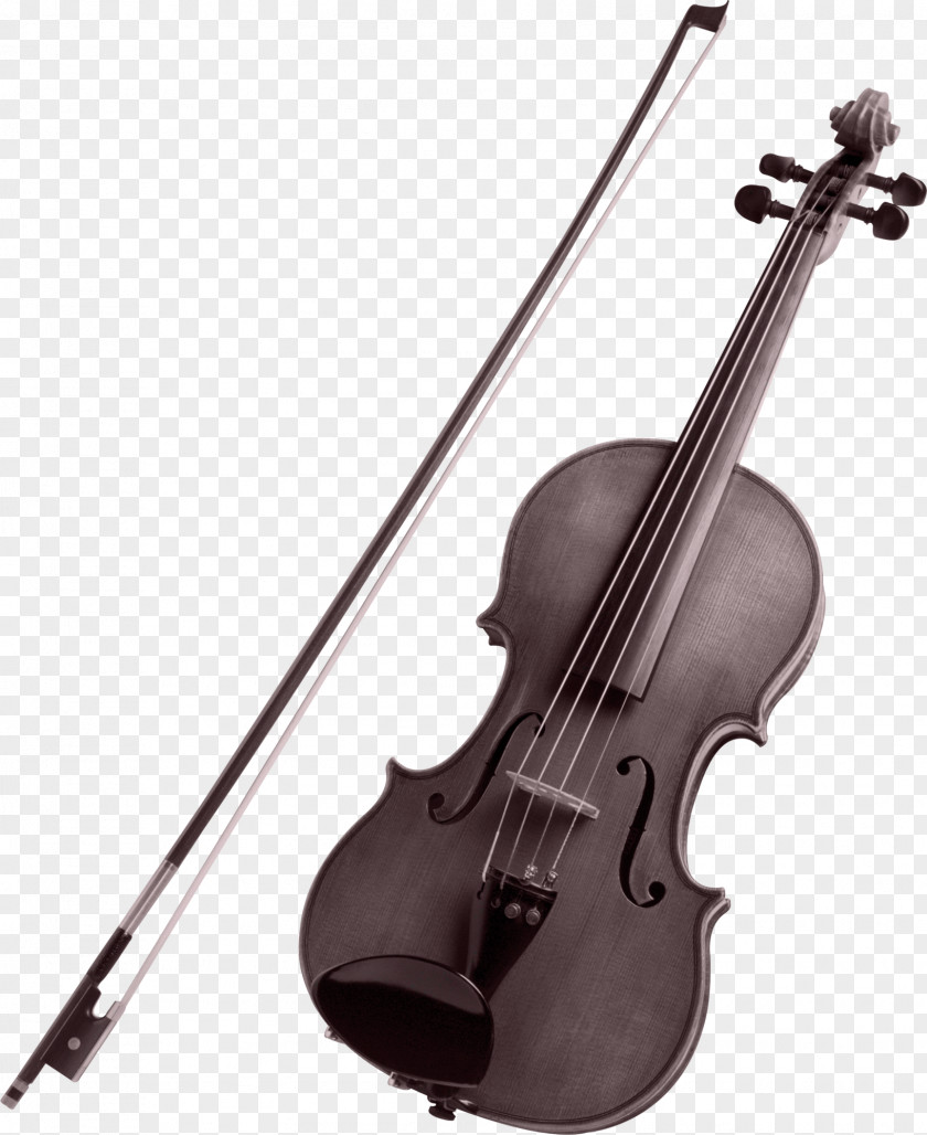 Violin Family Musical Instrument String Flute PNG