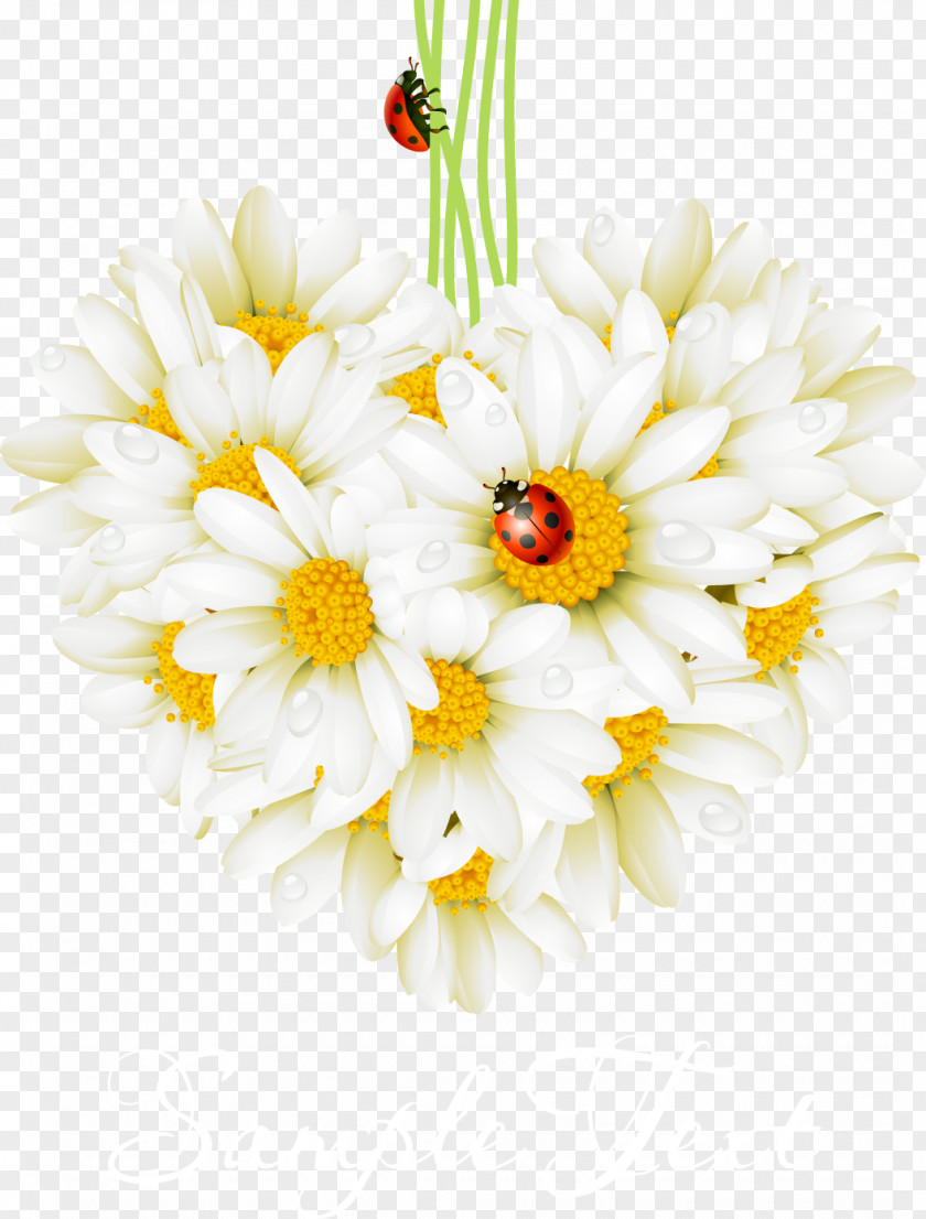 Beautifully Realistic Daisy Beetle Valentines Day Love Greeting Card Holiday Birthday PNG