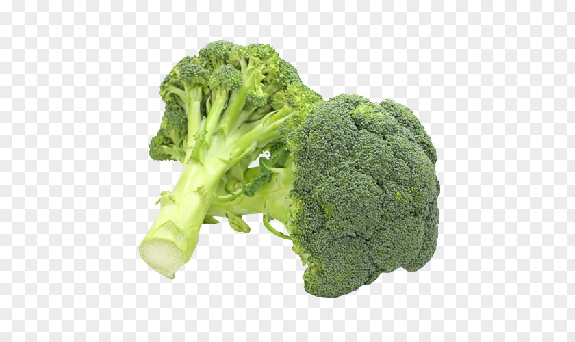 Broccoli Juice Slaw Organic Food Stuffing PNG