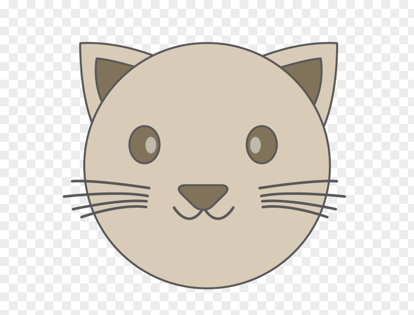 Cat Whiskers Illustration Clip Art Bear PNG