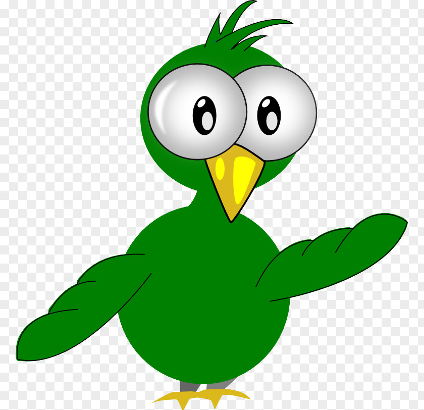 Flightless Bird Beak Green Cartoon Clip Art PNG