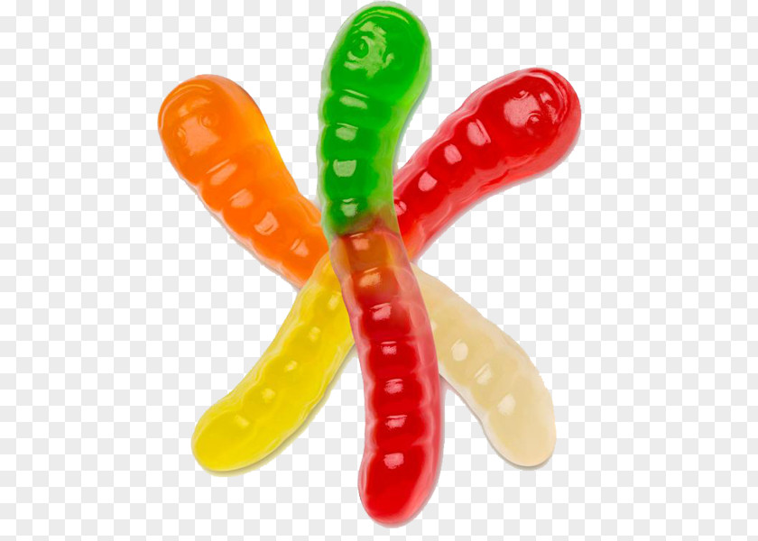 Gummy Worm Gummi Candy Bear Albanese Confectionery PNG