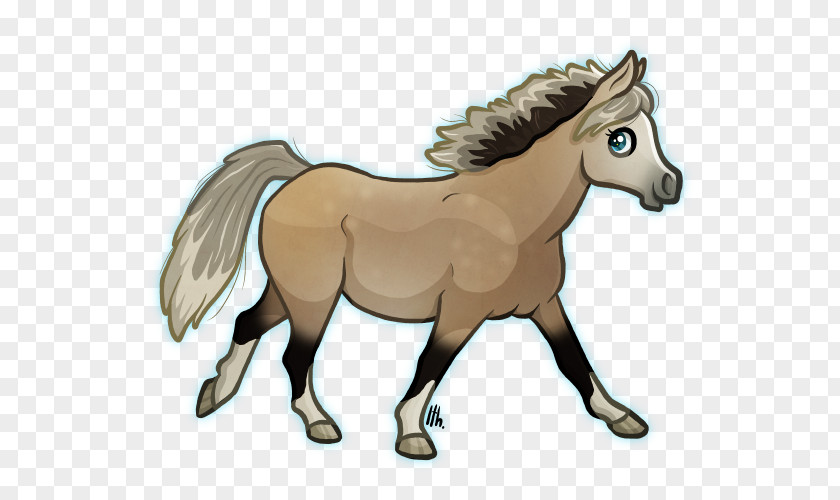 Mustang Mule Foal Stallion Pony PNG