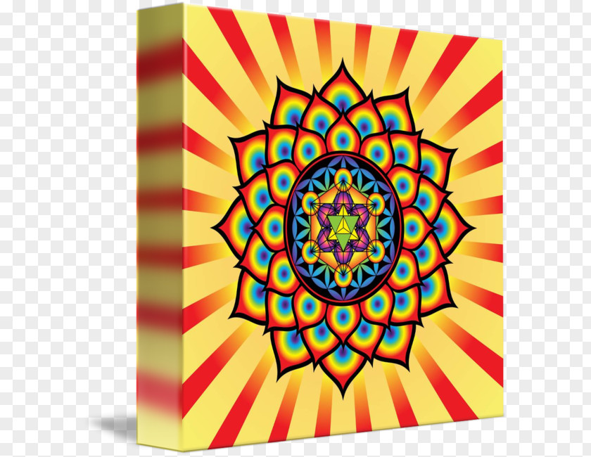 Painting Art Overlapping Circles Grid Metatron's Cube Sacred Geometry PNG