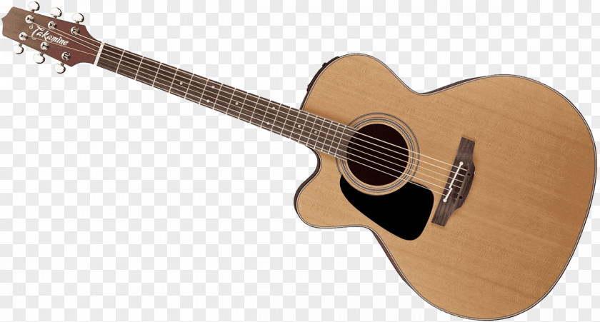 Acoustic Guitar Acoustic-electric Tiple Takamine Guitars Cavaquinho PNG