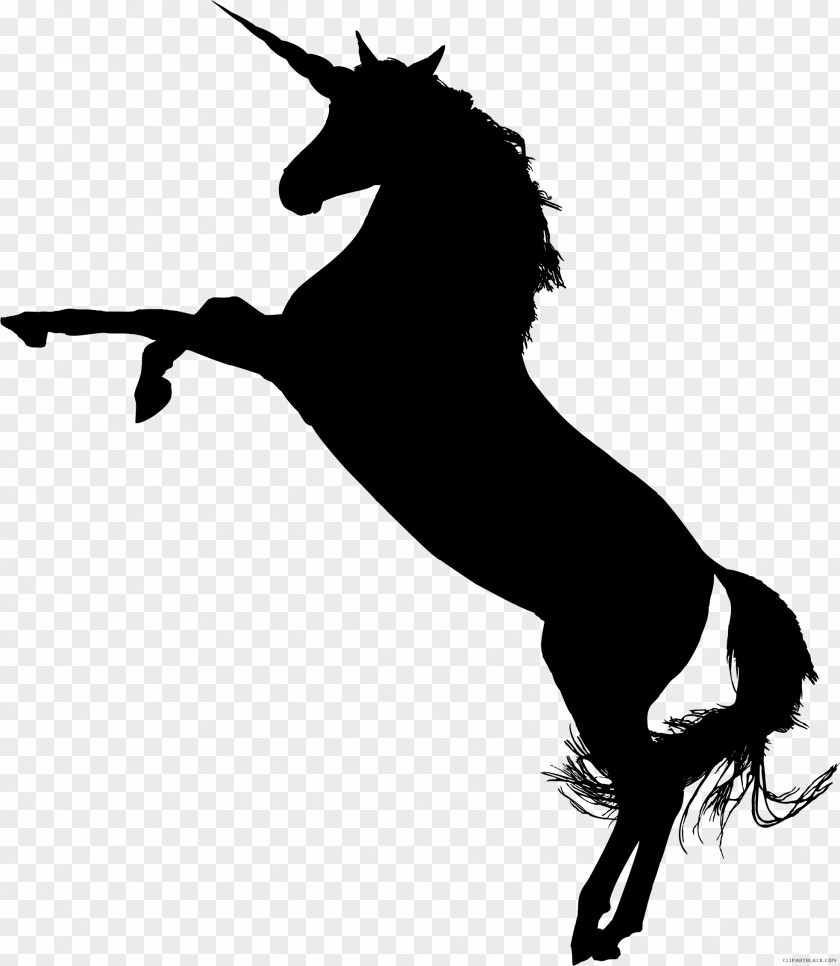 Silhouette Arabian Horse American Paint Colt Clip Art PNG