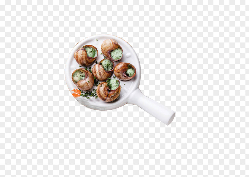 Snail Matcha Crayfish As Food Recipe Gastronomy Seafood PNG