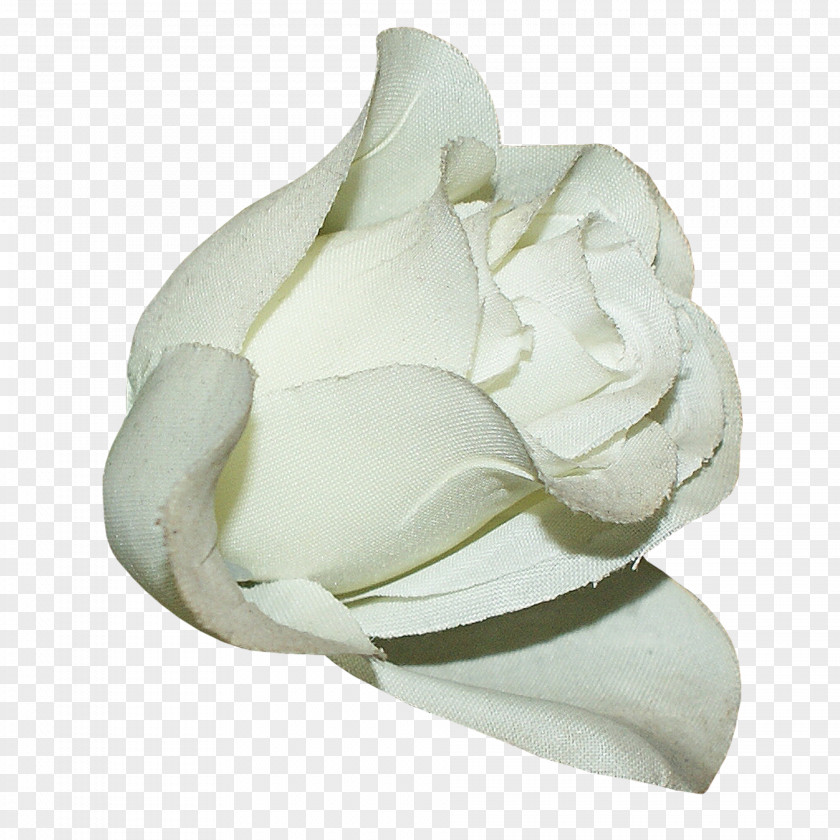 White Lily Flower Lilium PNG