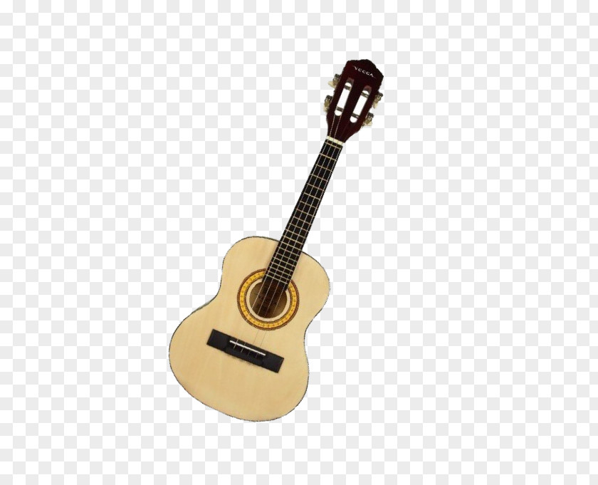 Acoustic Guitar Acoustic-electric Cavaquinho Bass Tiple PNG