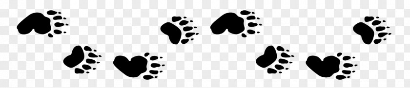 Bear American Black Polar Stories Paw PNG