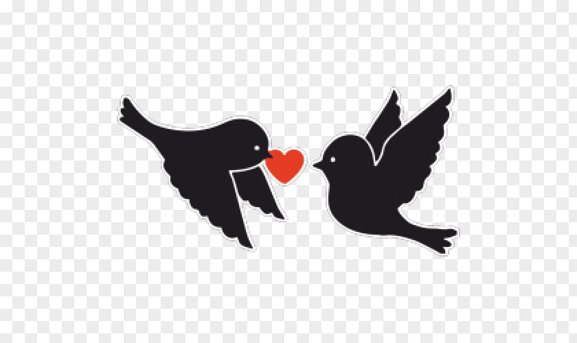 Bird Beak Wing Blackbird Logo PNG