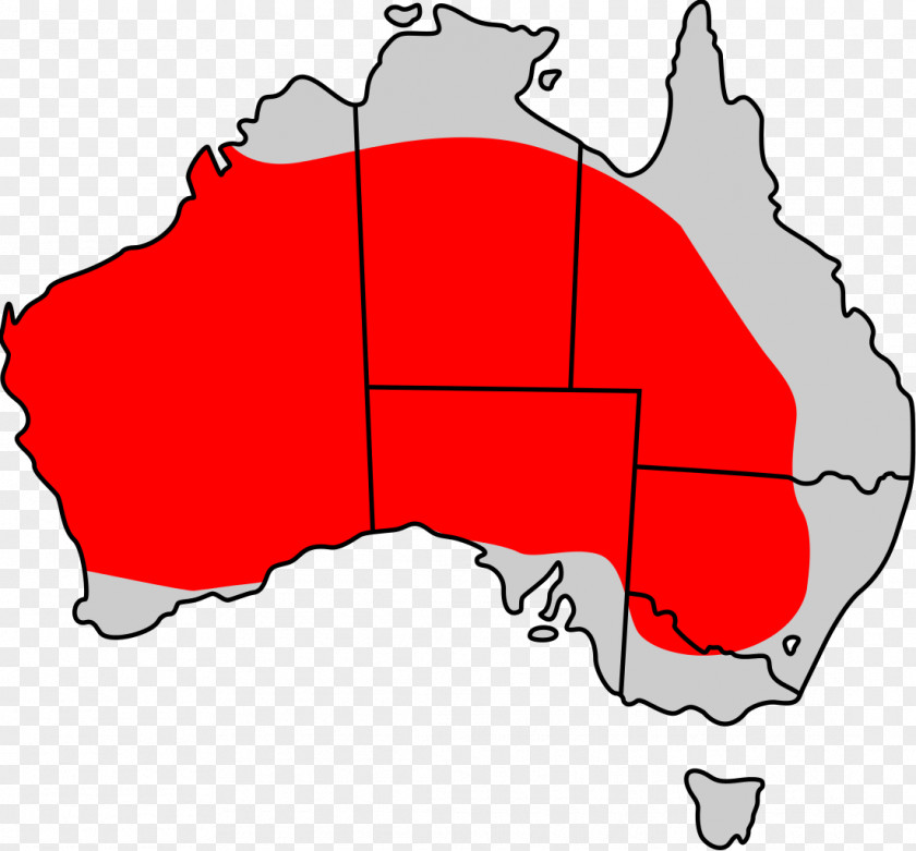 Distribution Red Kangaroo Macropodidae Eastern Grey Western PNG