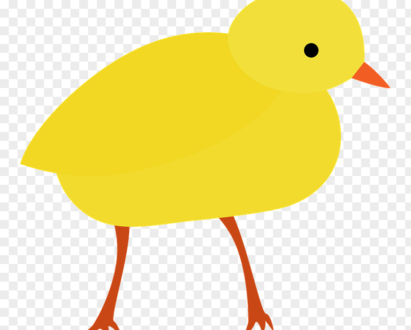 Duck Beak Animated Cartoon Clip Art PNG