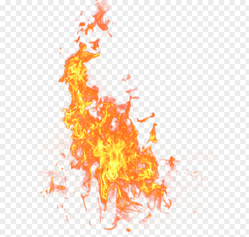 Flames Fire Flame Icon PNG