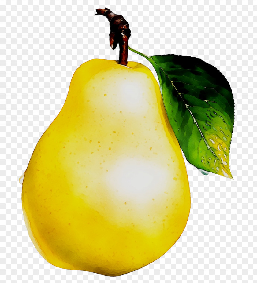 Fruit Pear Vegetable Food Compote PNG