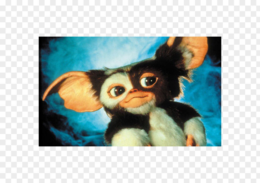 Gizmo Mogwai Film Amblin Entertainment PNG