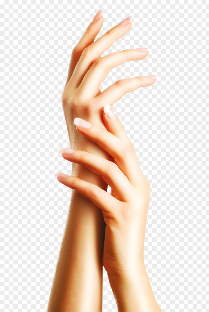 Hands Hand Aloe Vera Manicure Pedicure Beauty Parlour PNG