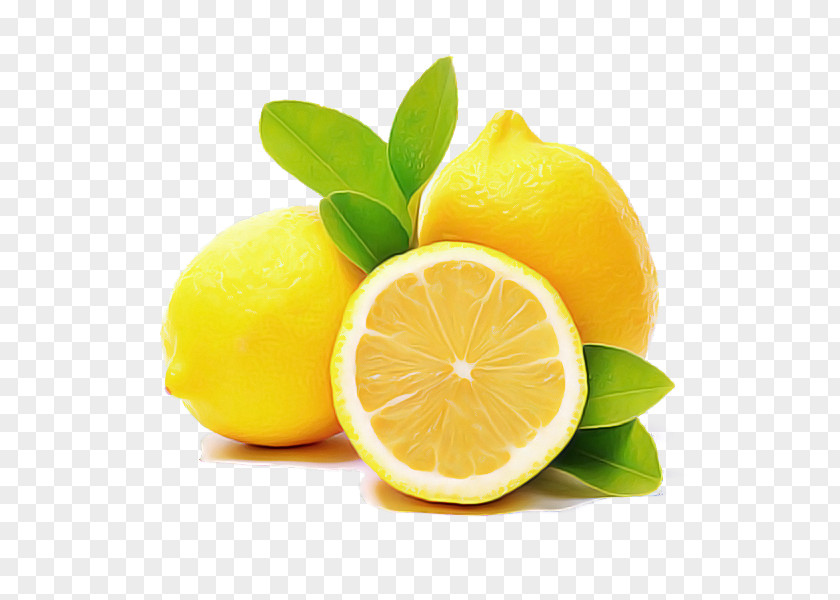 Lemon Peel Fruit Persian Lime Citrus Citric Acid PNG