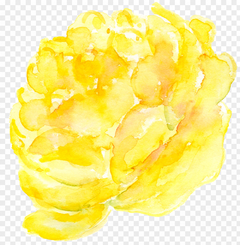 Yellow Peony Flower Painted Clip Art PNG
