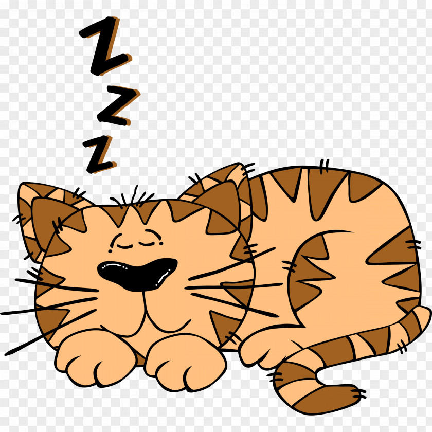 Cat Kitten Clip Art PNG