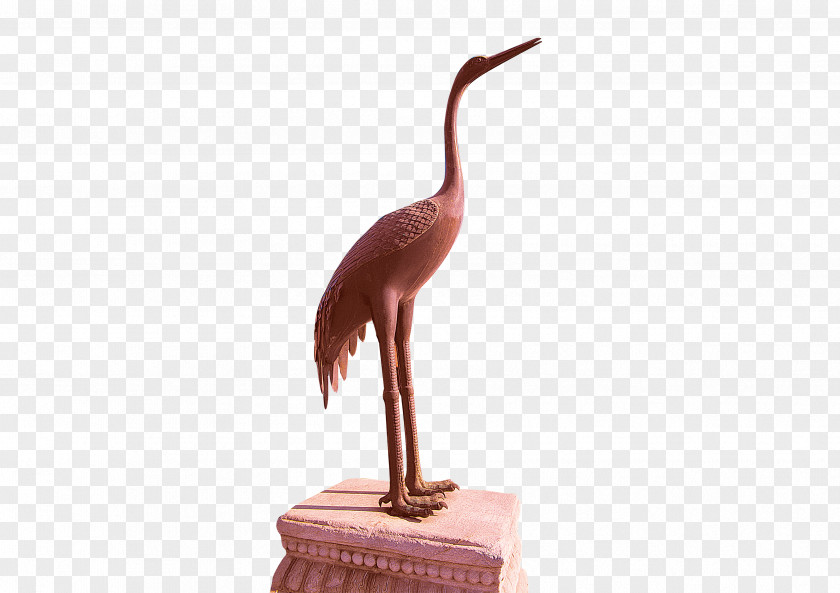 Crane Red-crowned Computer File PNG