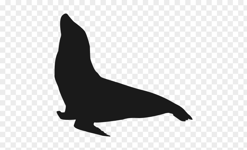 Nature Sea Animals Seal California Lion Silhouette PNG