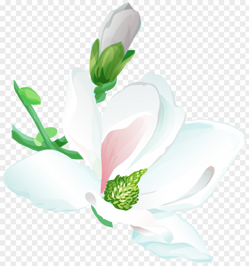 Pillow Petal Flower White Wedding Dress PNG