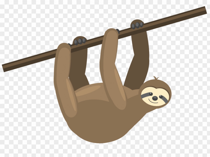 Sloth Hanging Video Animal English Language Cartoon PNG