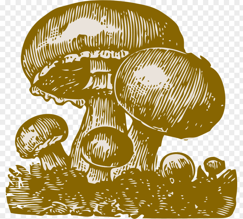 Mushroom Clip Art PNG