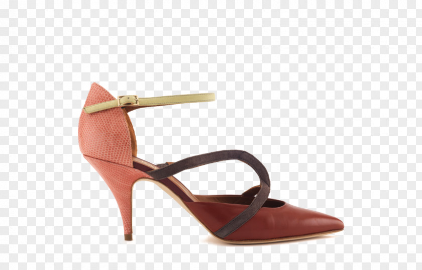 Veronica Campbellbrown Shoe Mink Dress Boot PNG