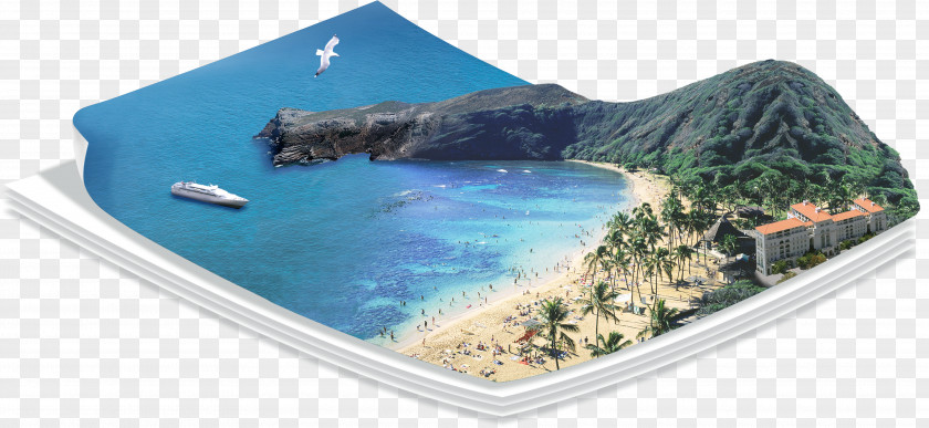 Beach Paper Illustration PNG