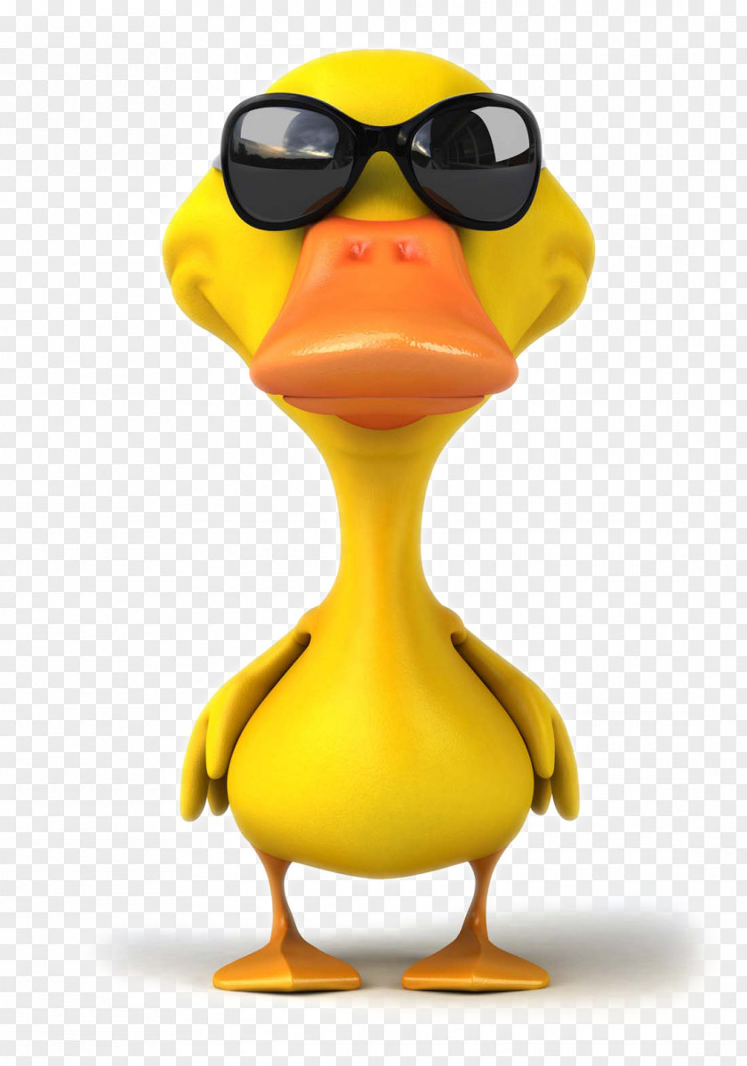 Cartoon Duck Pictures Mallard Stock Photography Illustration Royalty-free PNG