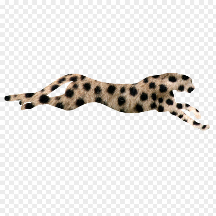 Cheetah Flash Of Two Worlds Download 30 November PNG