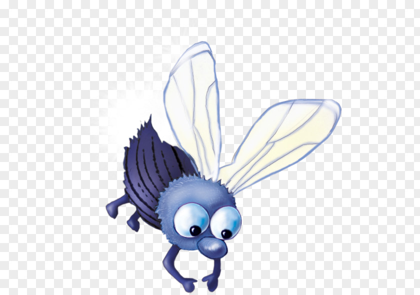 Fly Drawing Cartoon Insect Image PNG