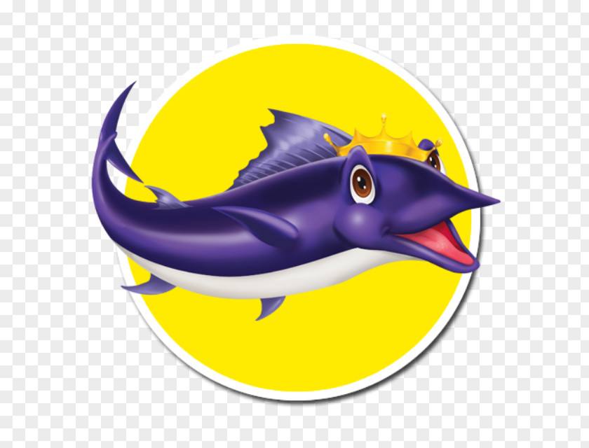 Freestyle Swimming Starts Dolphin Houston Swim Club Clip Art School PNG